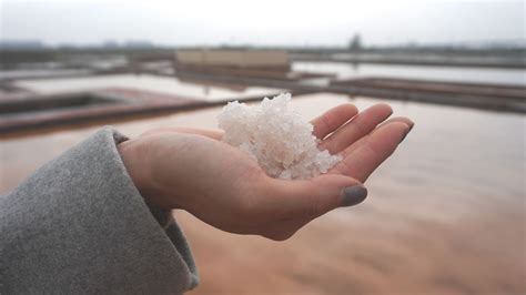 鹽怎麼來|鹽是從海水來的？ ｜國立教育廣播電